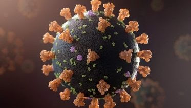 Zdjęcia - Coronavirus 15.jpg