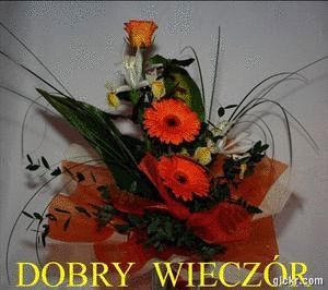Gify-Dobranoc - DOBRY WIECZOR DOBRANOC12222.gif