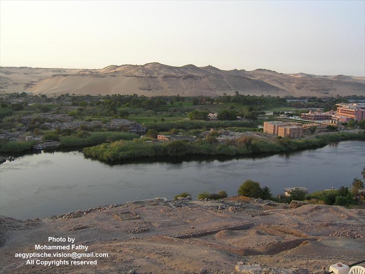 Przyroda - Przyroda w Aswan 556.jpg