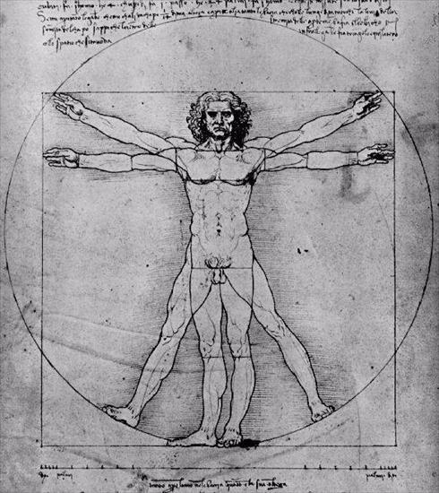 Szkice Leonarda da Vinci - vitruvian.jpg
