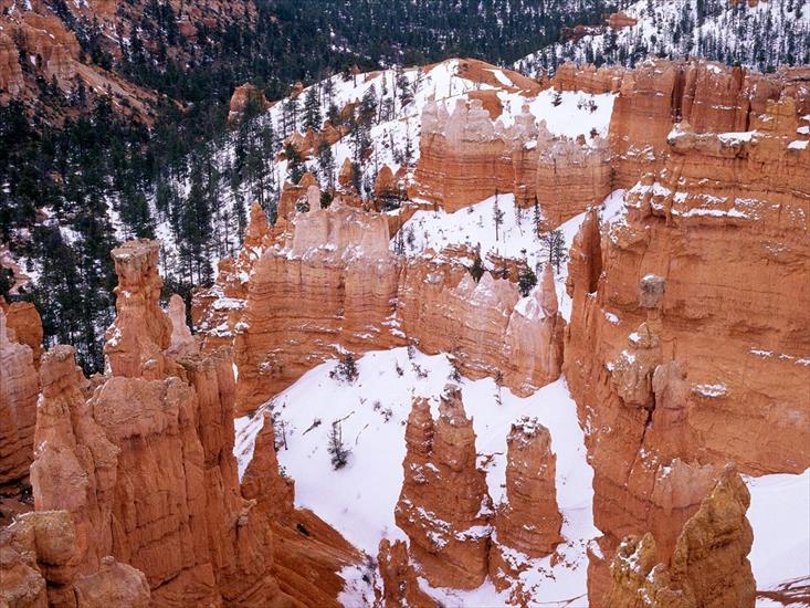  Cuda Natury  - Snowy-Bryce-Canyon_-Utah.jpg
