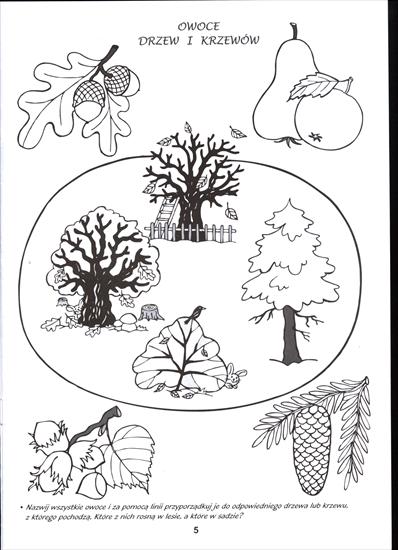 Karty Pracy Środowisko - owoce drzew i krzewów.jpg