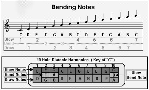 Nauka gry na harmonijce - Rozkład dżwięków na harmonijce C.jpg