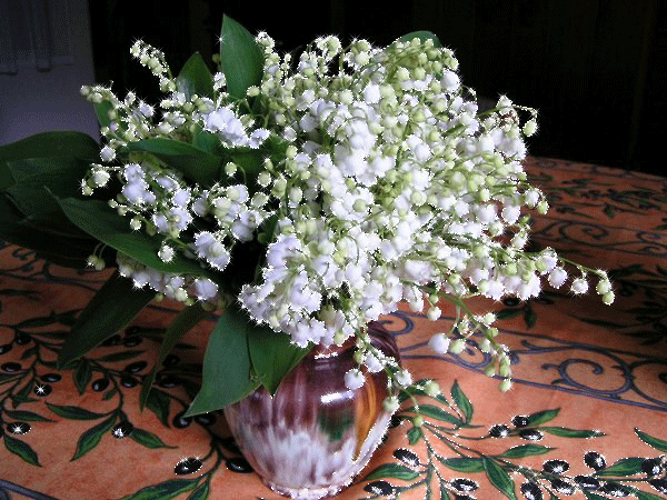 Kwiaty konwalie - xlfl89.jpg.gif